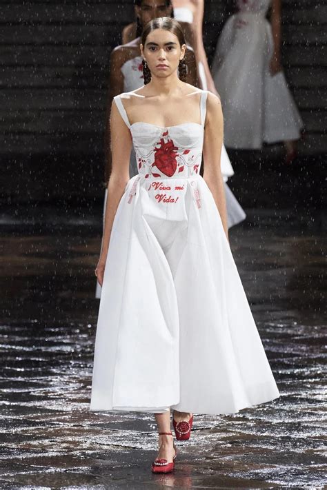 dior mexican collection